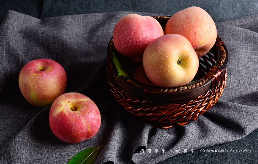 akinat灯神中文版网页版苹果(akinat灯神中文版在线玩)-第3张图片-有道翻译官网