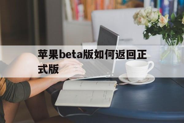 苹果beta版如何返回正式版(ios怎样从beta版刷回稳定版)-第2张图片-有道翻译官网