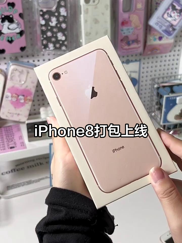 苹果八公开版和双网通版(iphone8双网通版本)-第14张图片-有道翻译官网