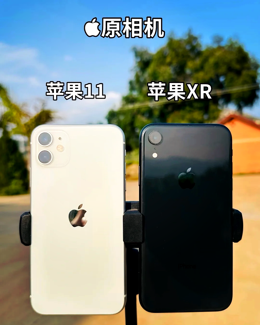 苹果11专业版和普通版(苹果11怎么打开专业模式)-第2张图片-有道翻译官网 苹果11专业版和普通版(苹果11怎么打开专业模式)-第2张图片-有道翻译官网