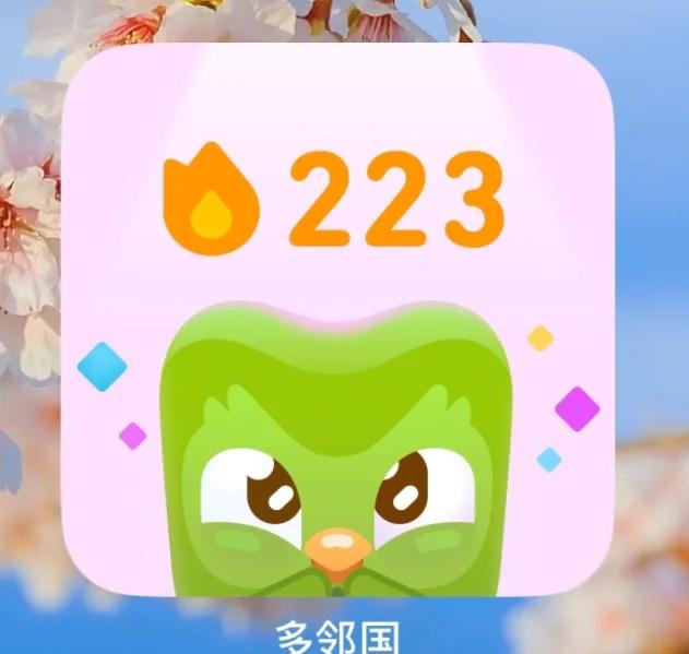 多邻国安卓版跟苹果版(多邻国安卓版内容不一样)-第11张图片-有道翻译官网