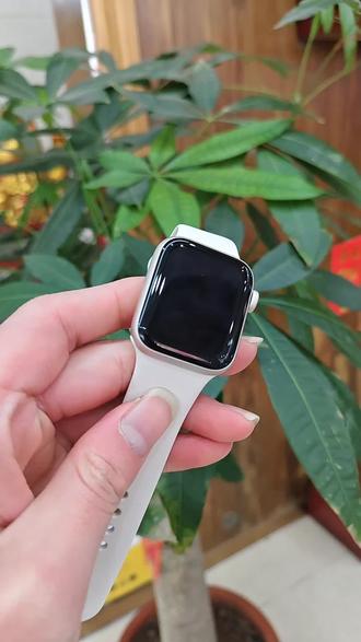 苹果手表se蓝牙版(苹果手表se蓝牙搜不到设备怎么办)-第11张图片-有道翻译官网